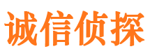 新抚寻人公司